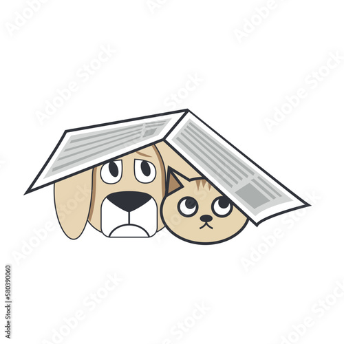 homeless animals. abandoned animals. cat and dog under newspaper