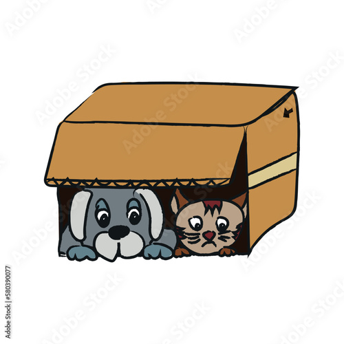 homeless animals. abandoned animals. cat and dog hiding in a box