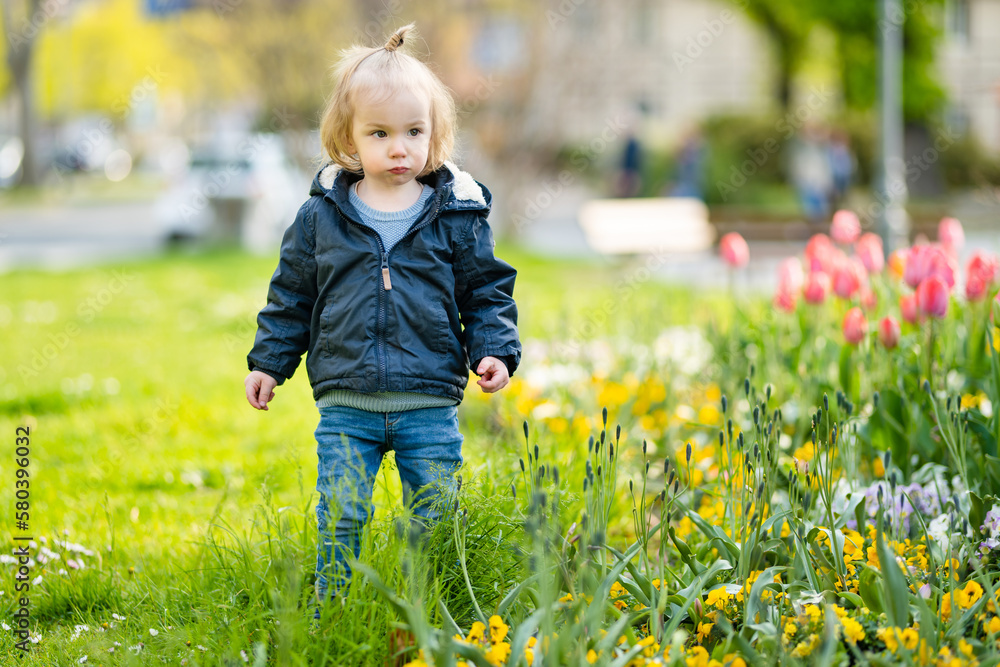 Cute toddler boy admiring colourful tulips blossoming in city park of Lecco town on spring day. Picturesque waterfront of Lecco located on the shore of Lake Como. Cute toddler boy admiring colourful tulips blossoming in city park of Lecco town on spring day. Picturesque waterfront of Lecco located on the shore of Lake Como.