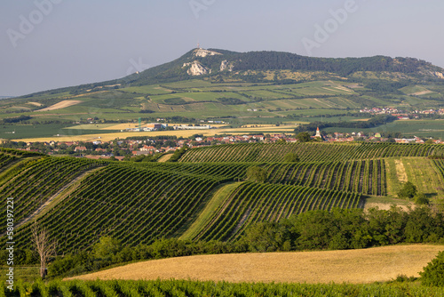 Vineyards under Palava,  Southern Moravia, Czech Republic © Richard Semik