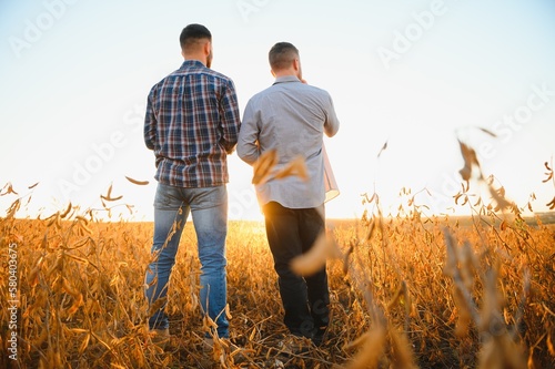 Two farmers standing in a field examining soybean crop before harvesting.