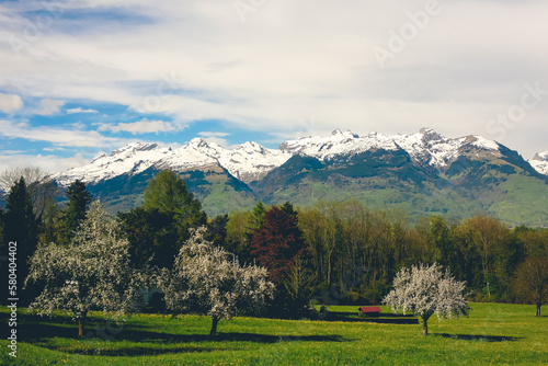 Alpine meadow valley