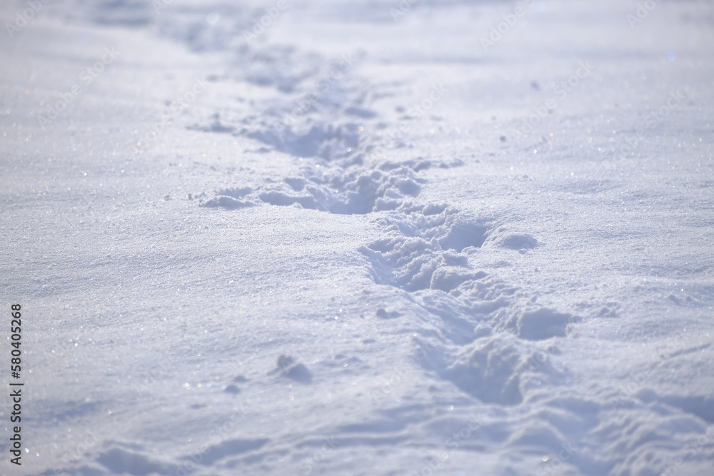 Footprints in the snow, close-up. Winter background. Footprints in the snow, close-up. Winter background.
