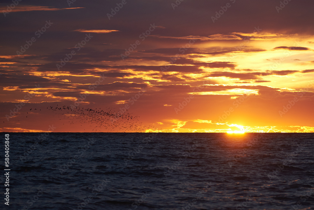 cloudy sky with sunset, sea and silhouette of flying birds