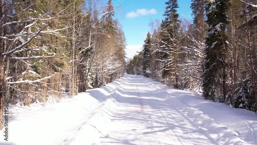 Wallpaper Mural Aerial view of a drone flying over a forest road in winter. The car is driving on a snow-covered road Torontodigital.ca