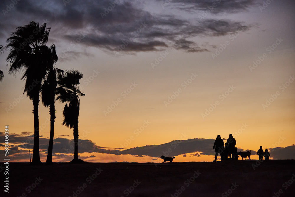 silhouette of palm trees, people and animals in landscape at sunset