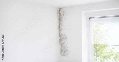 Wall and window with mold, banner with copy space, defeat mold and preserve home with specialized Anti-Mold products and services. Professional remediation, shopping resistant materials and coatings.