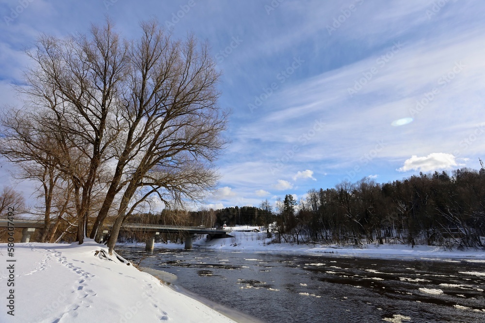 Obraz premium winter landscape with snow covered trees