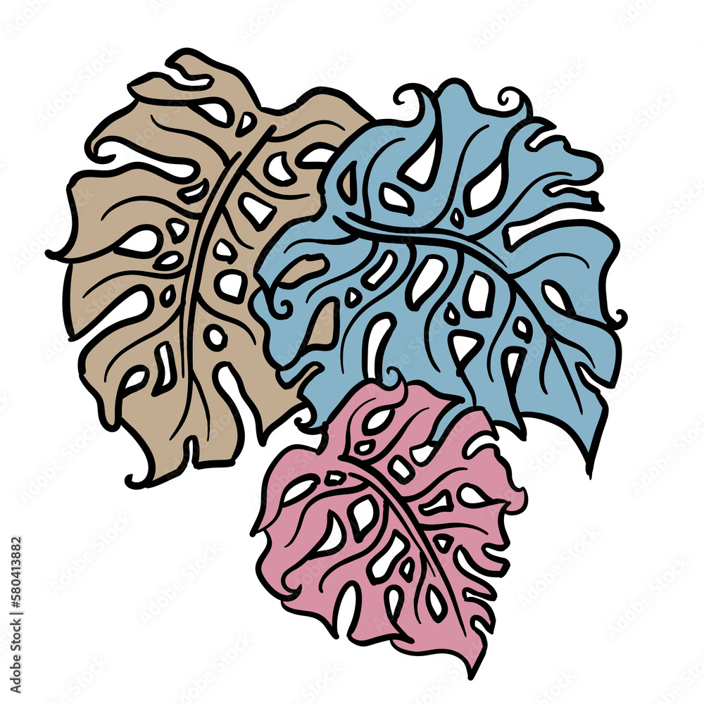 Monstera tropical green leaf drawing. Exotic nature palm plants theme illustration, decorative element for logo design, postcard, party invitation deco, restaurant menu, spa salon. Hand drawing.