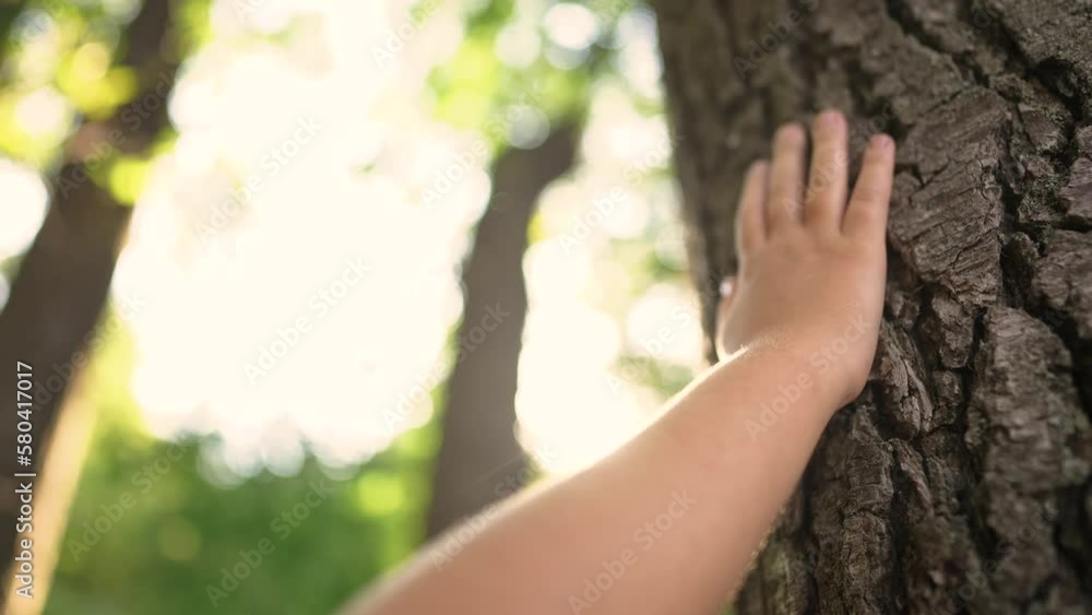 hand of a little ecologist child touches the trunk of a tree bark in a