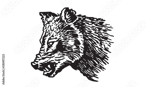 Graphical portrait of angry wolf isolated on white background,vector illustration, forest animal
