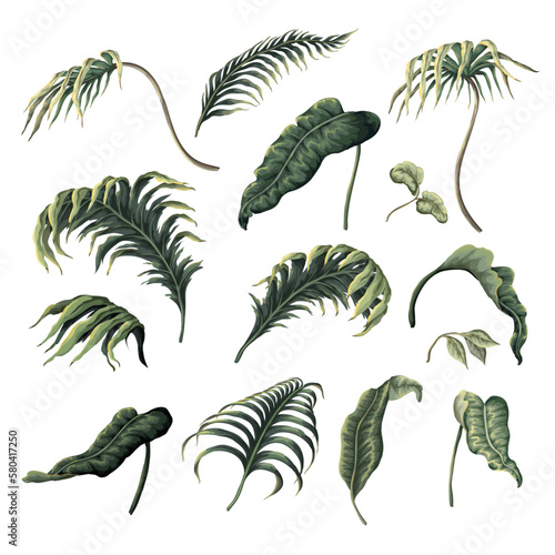 Tropical leaves isolated. Vector.