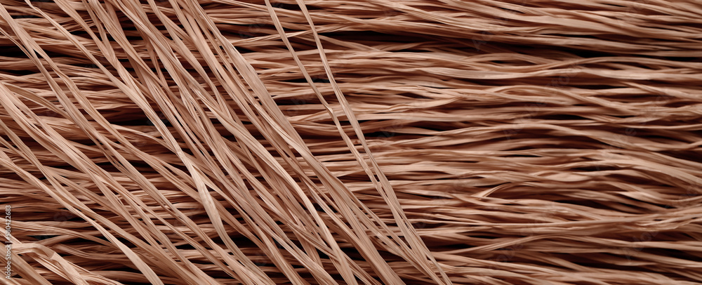 Closeup view of dried grass, closeup Closeup view of dried grass, closeup