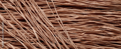 Closeup view of dried grass...