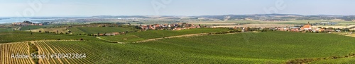 Vineyards and Zajeci village, view from Pritlucka hora