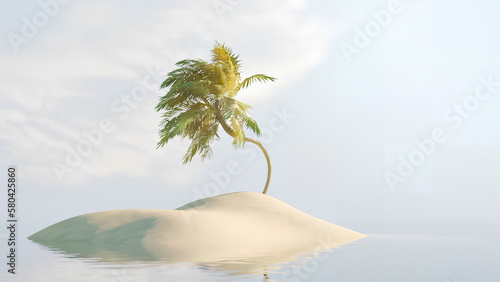 Fototapeta Naklejka Na Ścianę i Meble -  palm tree in the sea island