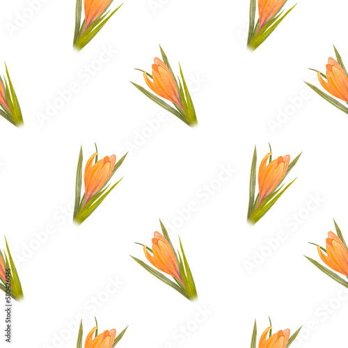 Watercolor illustration of crocuses seamless pattern, hand-painted spring flowers.