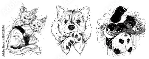 Black and white set of cartoon animals. A cute little puppy, cuddling foxes and a panada hanging from a tree. Colorful illustration (ID: 580428874)