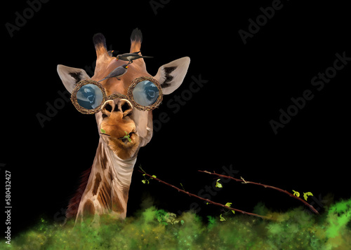 Simpatica giraffa con gli occhiali che mangia un ramoscello mentre le bufaghe si nutrono degli insetti che si trovano sul muso di questo erbivoro. Illustrazione digitale su sfondo nero photo
