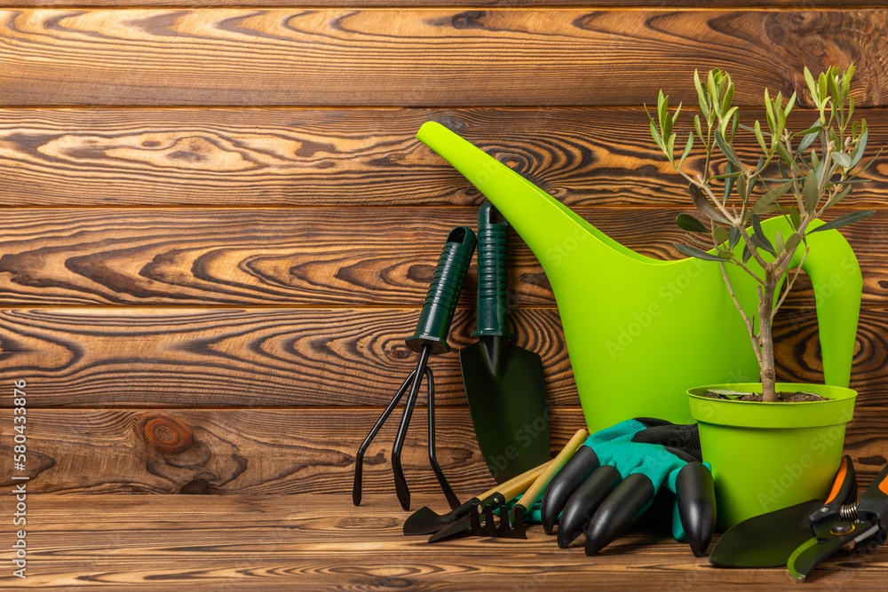 Garden tools, watering can, seeds, olive plants and pruner on a brown wooden table. Spring in the garden.Hobby and gardening concept.Copy space. Place for text.
