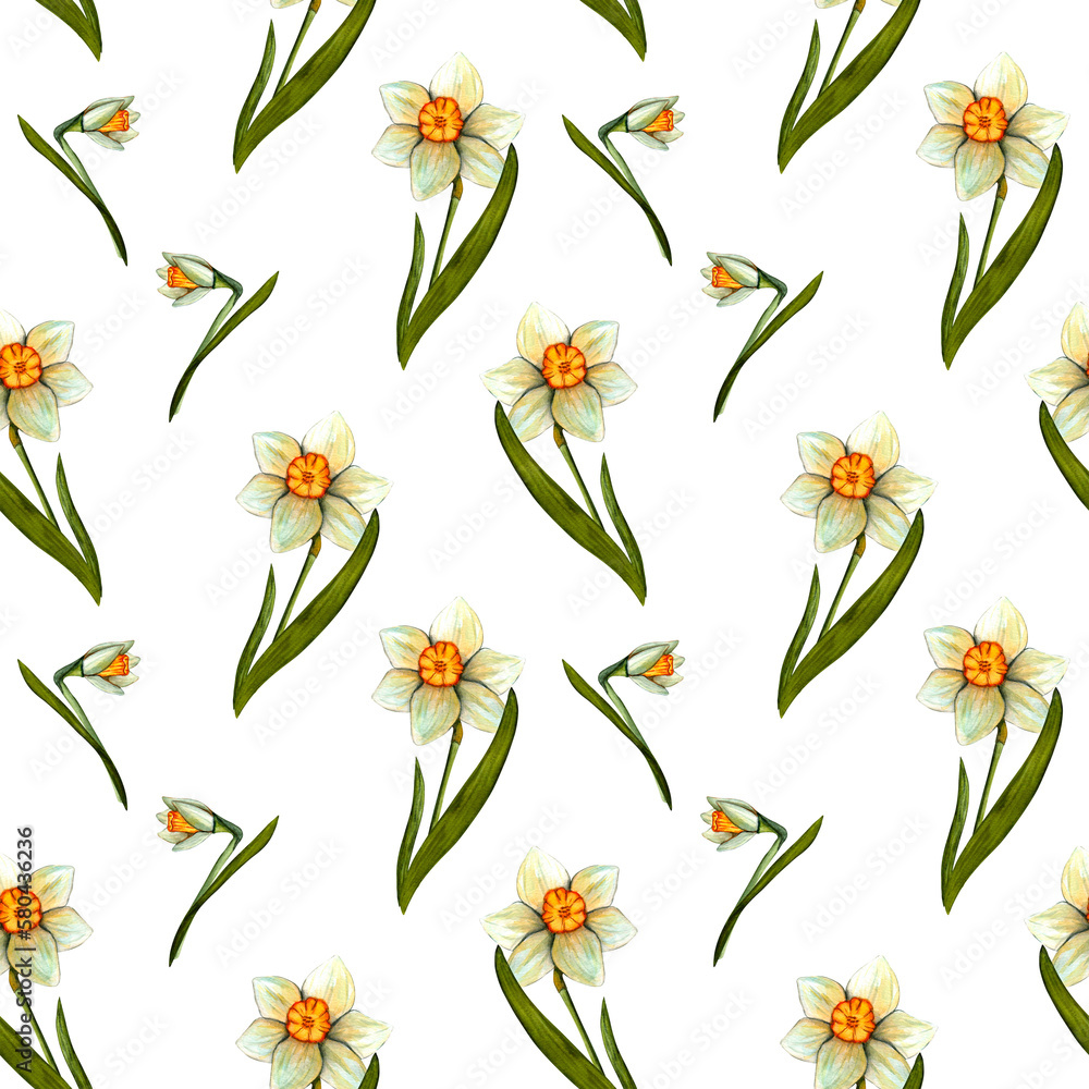 Seamless pattern. Spring watercolor daffodils. Flowers with stem and leaf. Spring botanical print on transparent background