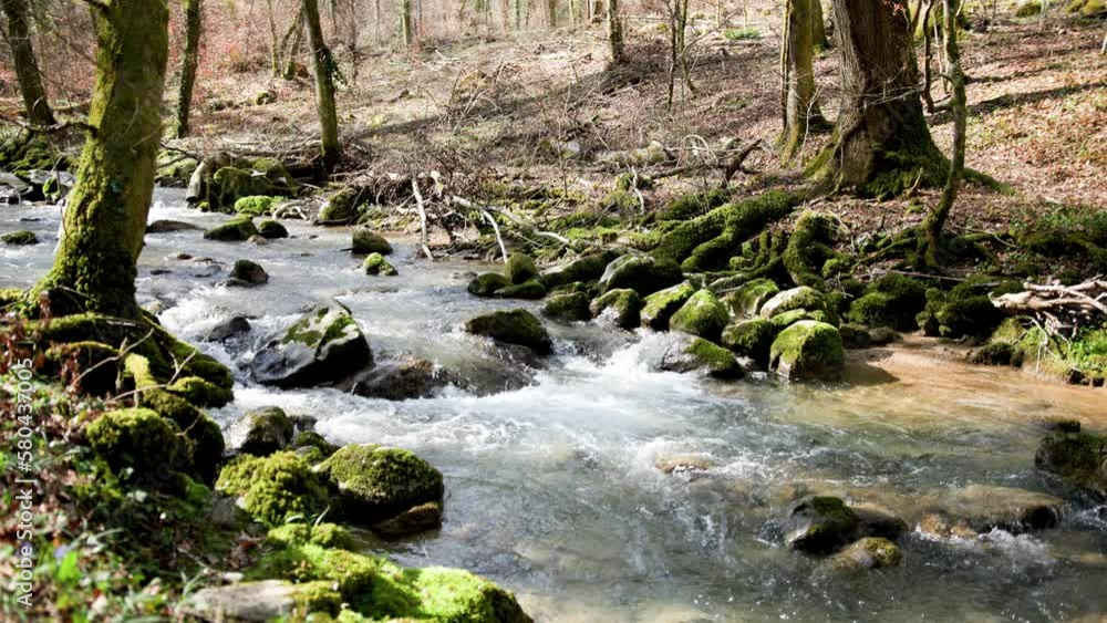 Sunny forest river in slow motion.