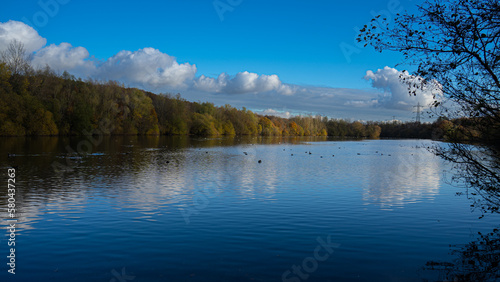 Reflected image of the lake. forest and great sky