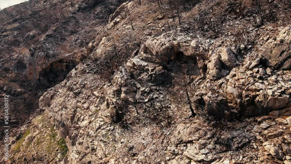 Devastated forest in ashes after wildfire in slope of mountain pine tree forest, aerial view Devastated forest in ashes after wildfire in slope of mountain pine tree forest, aerial view
