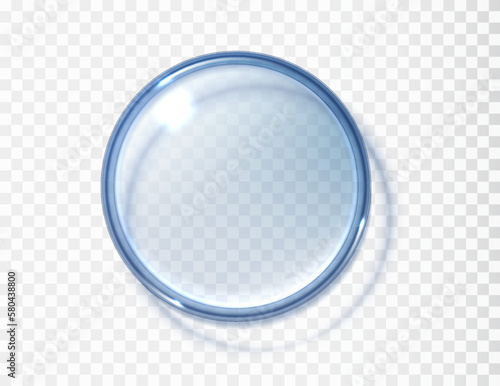 Petri dish top view isolated isolated on transparent. Realistic concept laboratory tests and research. Transparent round displays.