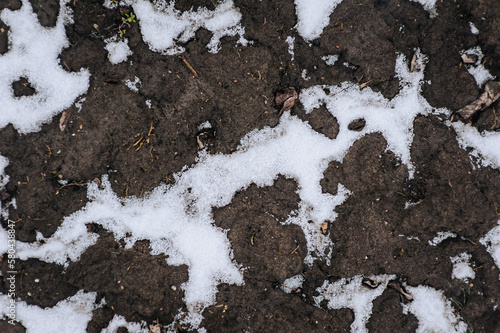 White snow lies on dug up brown earth, soil. Close-up photography, nature, agriculture. © shchus