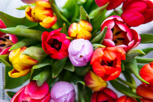 a bouquet of tulips of different colors