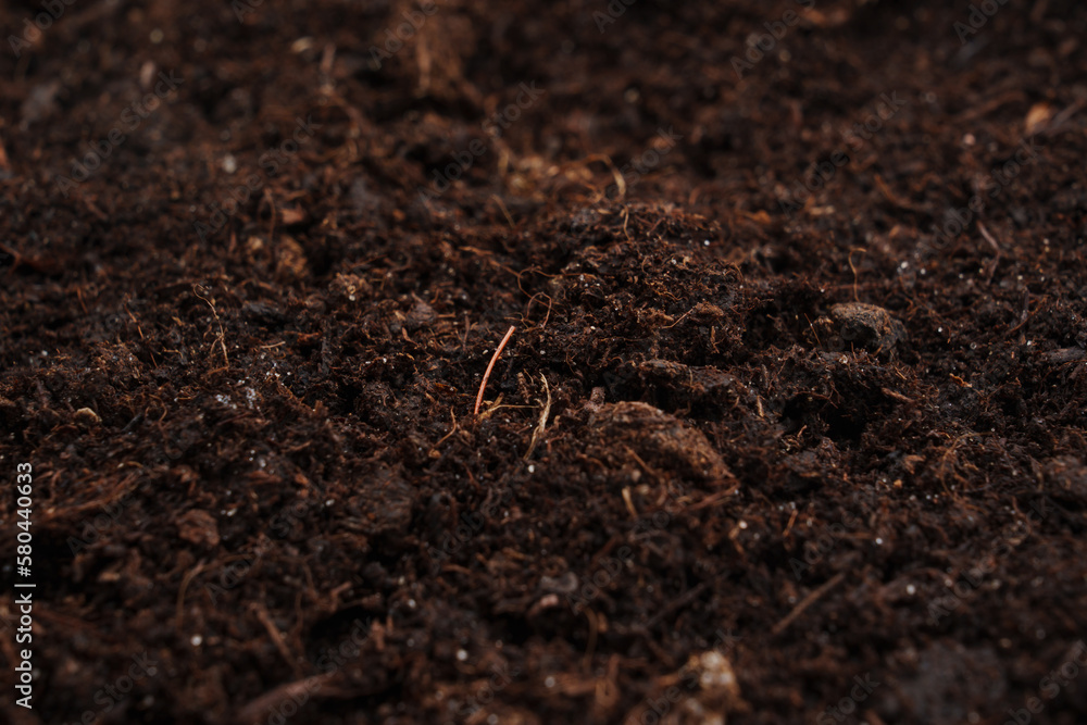 fertile soil for planting and growing plants. fertile soil for planting and growing plants.