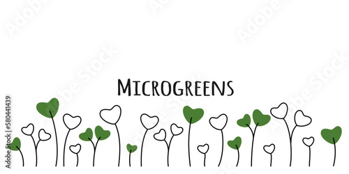 Colored microgreen assorted seeds peas onion radish beet and others on white background vector illustration