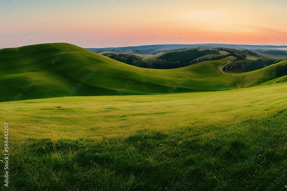 Beautiful natural spring summer landscape of meadow in a hilly area on sunset. Field with young green grass