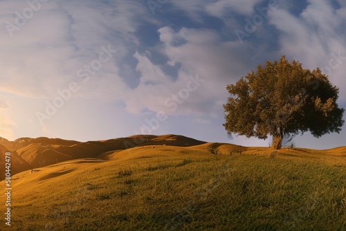Beautiful natural spring summer landscape of meadow in a hilly area on sunset. Area with a tree