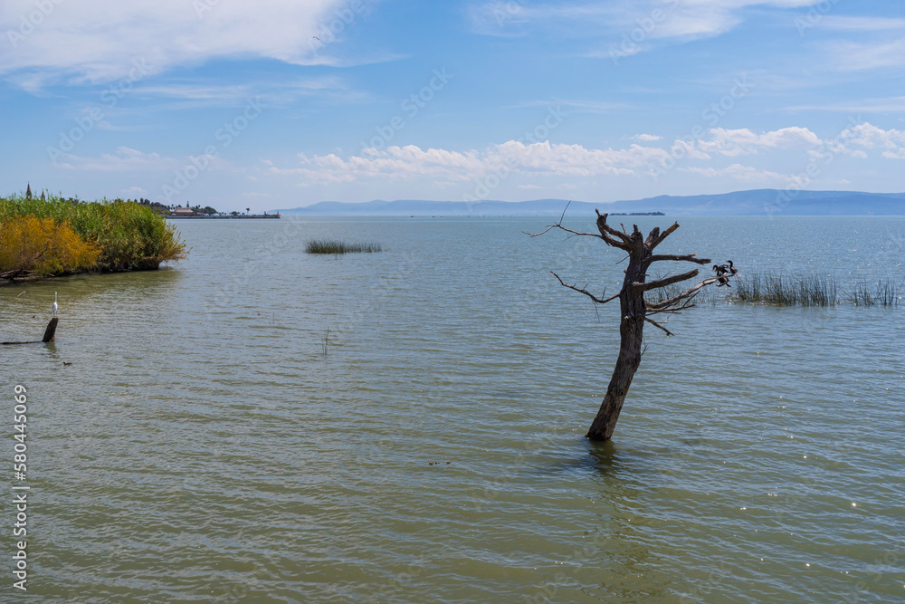lake chapala along ajijic and chapala on horizon