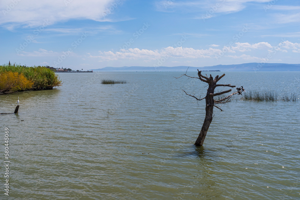 lake chapala along ajijic and chapala on horizon lake chapala along ajijic and chapala on horizon