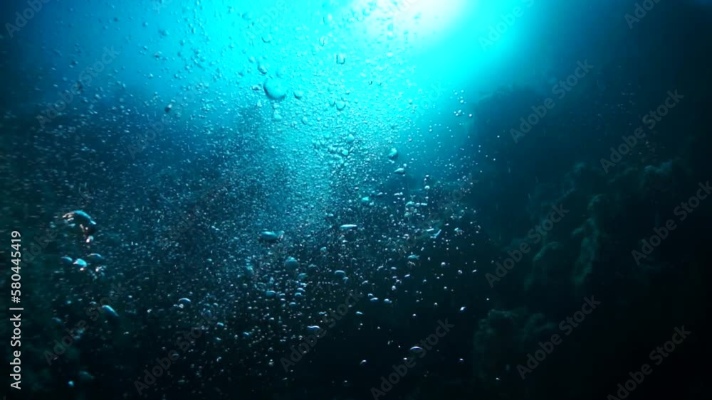 See graceful movements of bubbles and corals in slow motion. Underwater world is mesmerising and tranquil oasis of serenity. See graceful movements of bubbles and corals in slow motion. Underwater world is mesmerising and tranquil oasis of serenity.