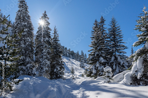 Winter view of Rila Mountain near Malyovitsa peak, Bulgaria © Stoyan Haytov