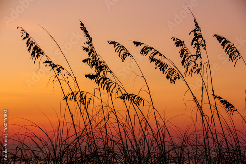 Sunset at the Beach