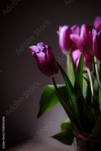 Natural bouquet of spring tulips. Purple tulips on a plain gray background. Valentine's day, mother's day, tenderness day, birthday concept. Soft selective focus. Spring scene. Greeting card.