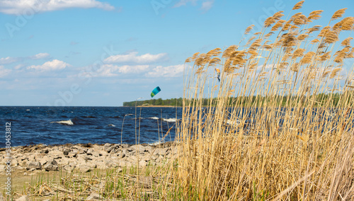 landscape of the coast of the Kyiv reservoir