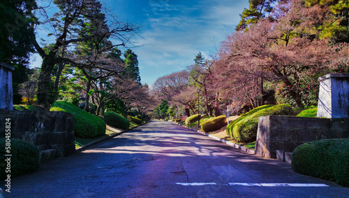 Photos Beautiful Colorful Garden Street in Japan Imperial Palace