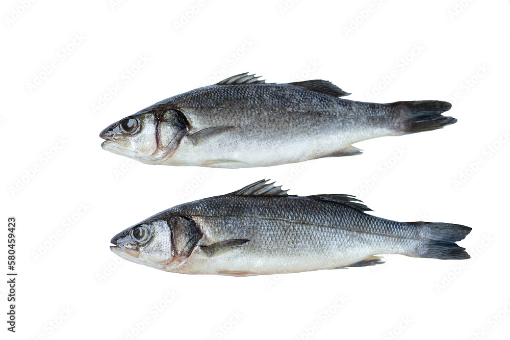 Fresh fish with spices and herbs on table in kitchen. Fresh sea bass. Fresh fish with spices and herbs on table in kitchen. Fresh sea bass.