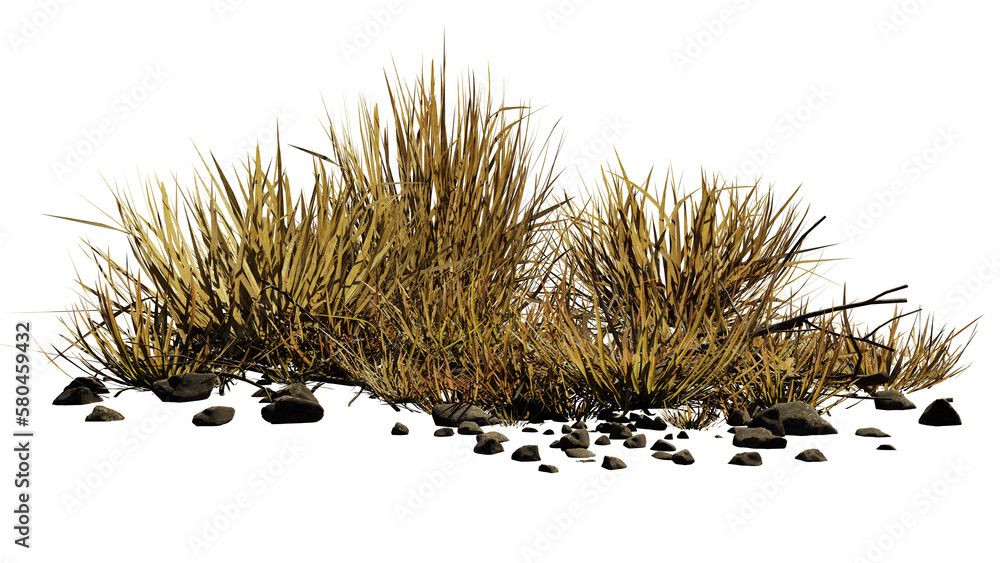 desert scene cutout, dry plants with rocks isolated on transparent background