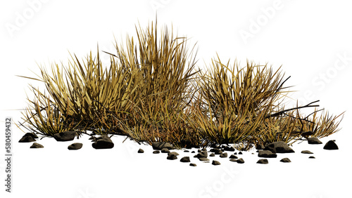 Obraz na płótnie desert scene cutout, dry plants with rocks isolated on transparent background w salonie