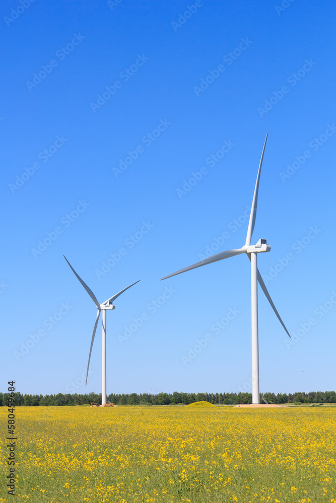 Wind turbine in a yellow flower field of rapeseed. High quality photo Wind turbine in a yellow flower field of rapeseed. High quality photo
