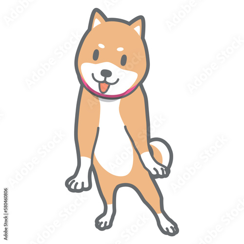 立ち上がる柴犬のベクターイラスト