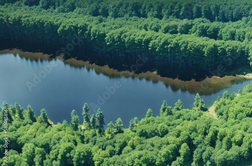 Aerial view of lake in woodland. Bird's eye view of water surrounded by trees on sunny day in summertime. Generative AI.