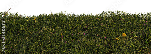 Obraz na płótnie grass, beautiful meadow scene isolated on transparent background banner w salonie